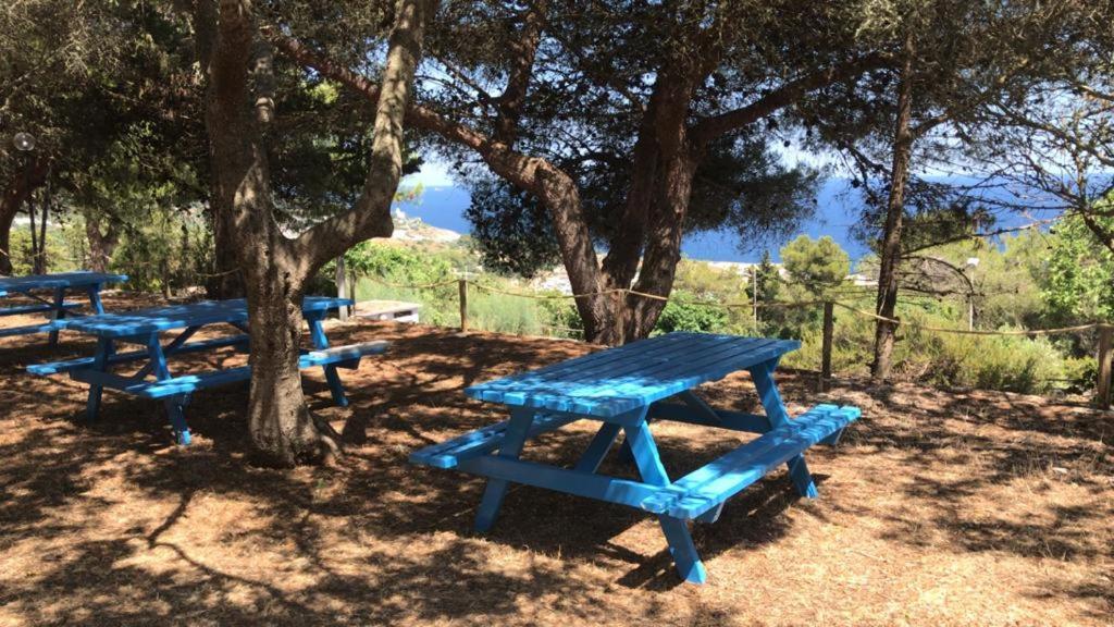 Camping La Scogliera Santa Cesarea Terme Dış mekan fotoğraf